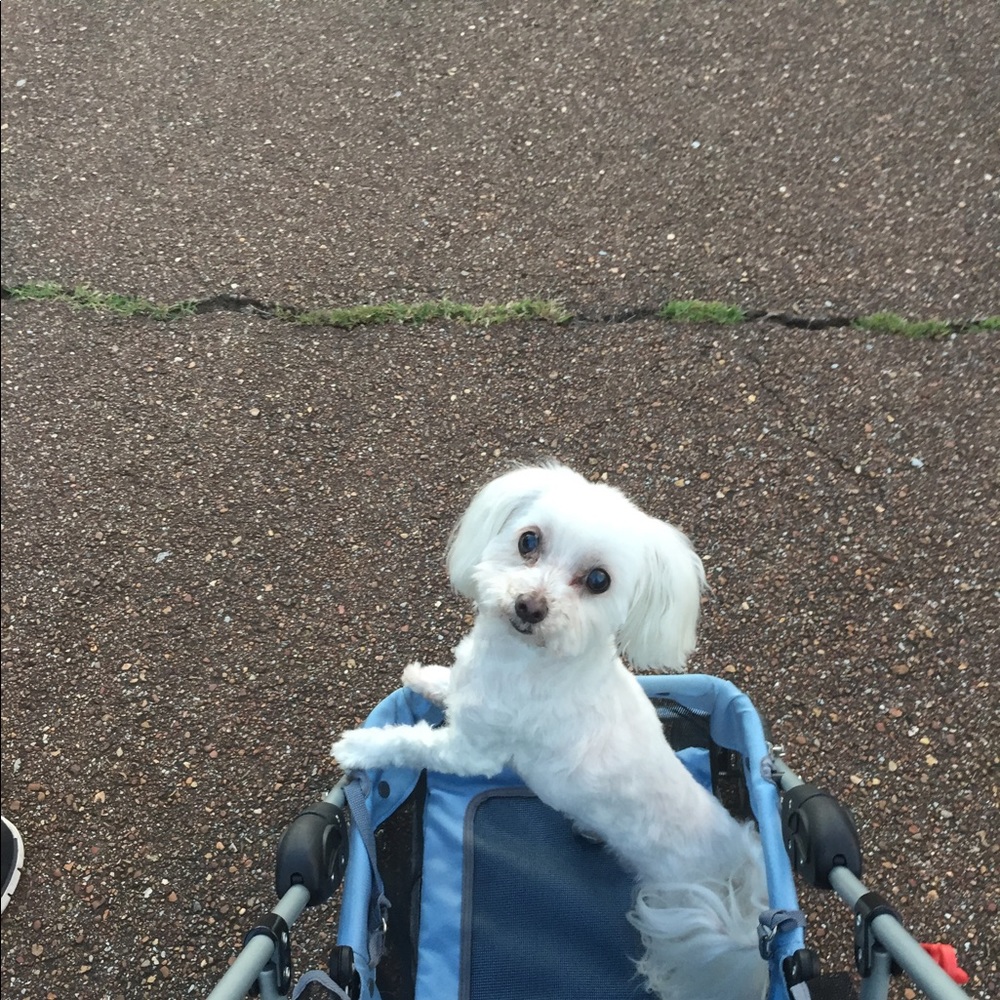 Meet your Posher, John